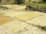 gallery image 63